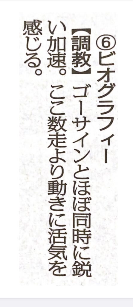 大スポ　寸評　ビオグラフィー　３行